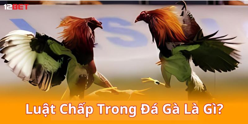 Chấp bạc là một hình thức phổ biến
